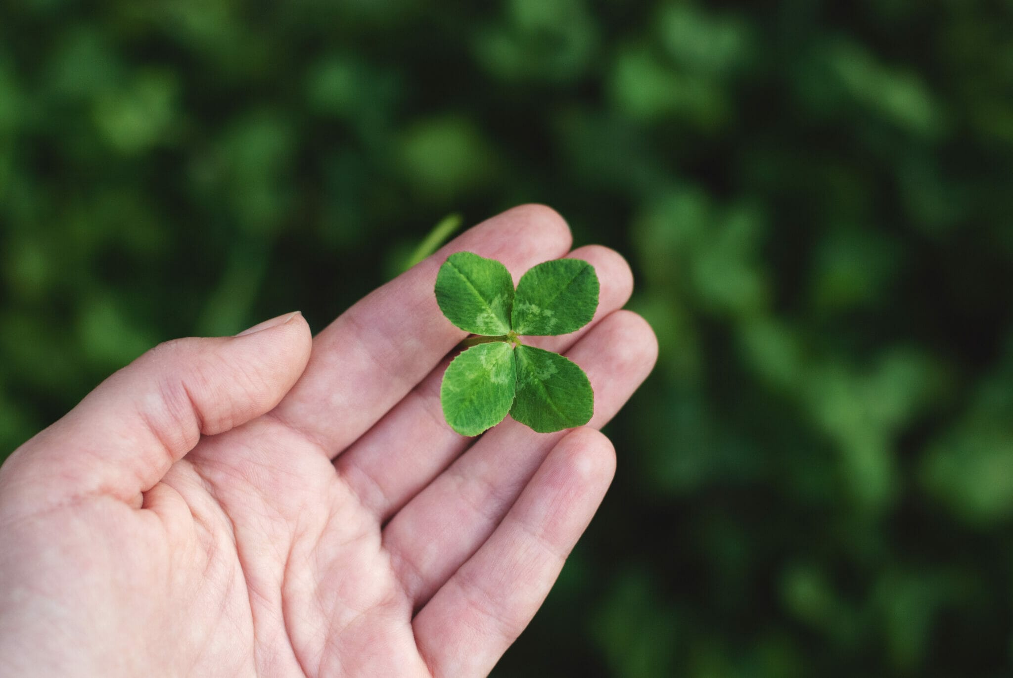 Resource Box Header Luck of the Irish, or Modern Data-Driven HR?