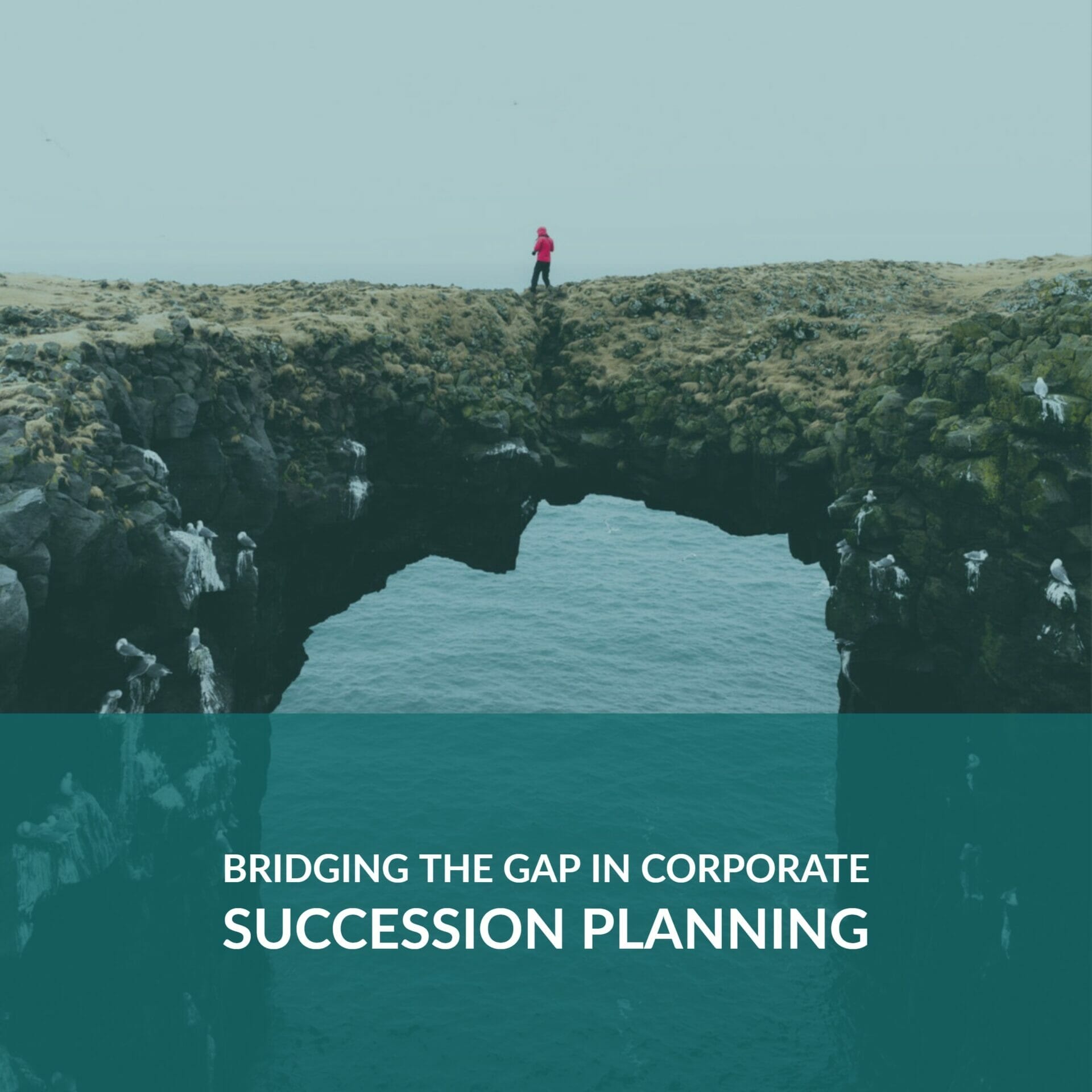 |Bridging the Gap in Corporate Succession Planning TalentGuard